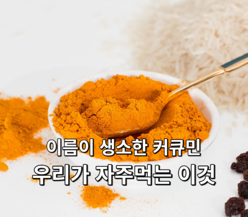 우리가 자주먹는 이것에 커큐민이 함유되어있다.