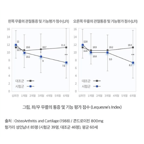 관절엔 콘드로이친 1200 관절 기능평가 증가