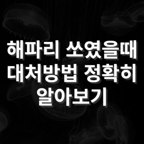 해파리 쏘임 응급대처법: 생존을 위한 대응 방법